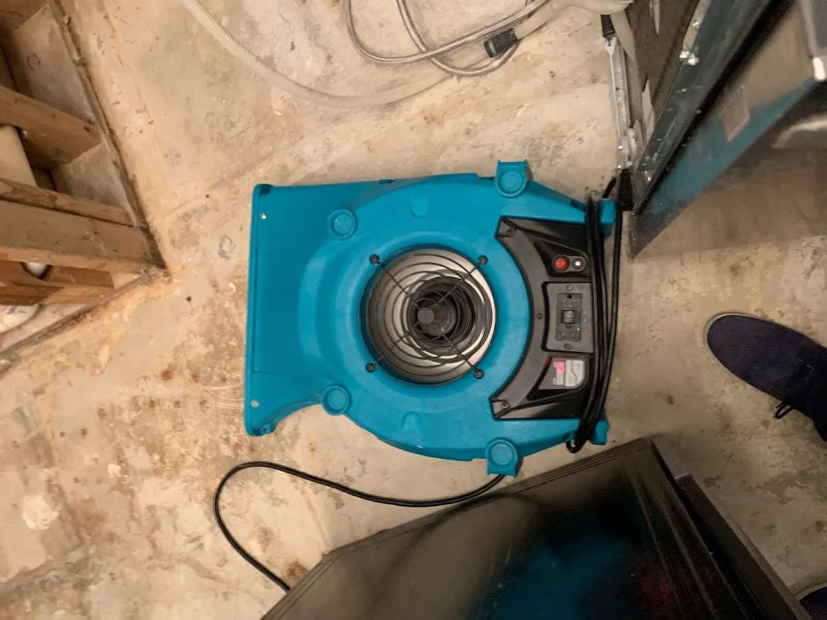 Air mover drying equipment for Mold Remediation & Removal in Guntersville